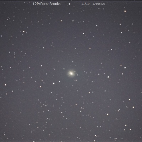 11月19日の12P/Pons-Brooks