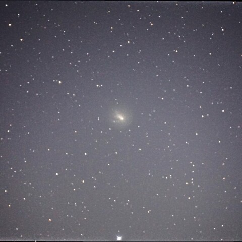 11月22日の12P/Pons-Brooks