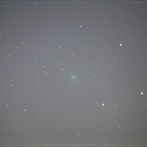 11月22日のC/2023 H2 Lemmon