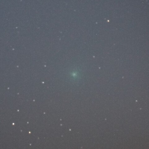 11月23日のC/2023 H2 Lemmon