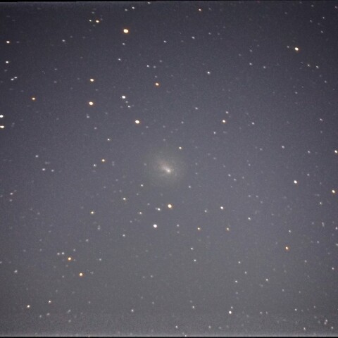 11月23日の12P/Pons-Brooks