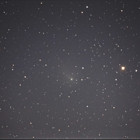 11月30日の12P/Pons-Brooks