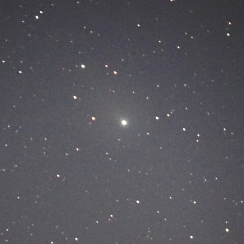 12月1日の12P/Pons-Brooks