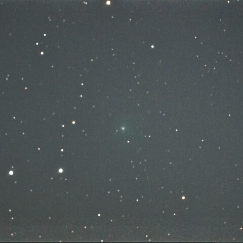 元日の144P/Kushida