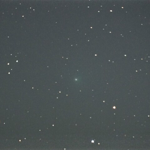 1月4日の144P/Kushida