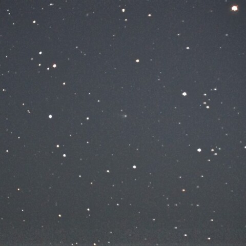 1月8日の32P/ComasSola