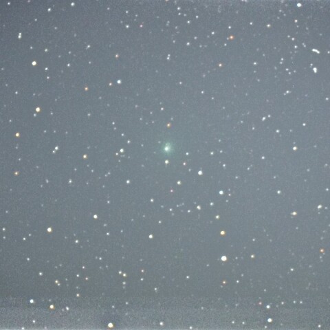 1月15日の12P/Pons-Brooks