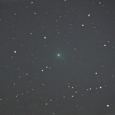 1月30日の144P/Kushida