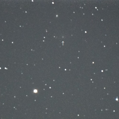 2月9日の29P/Schwassmann-Wachmann 1