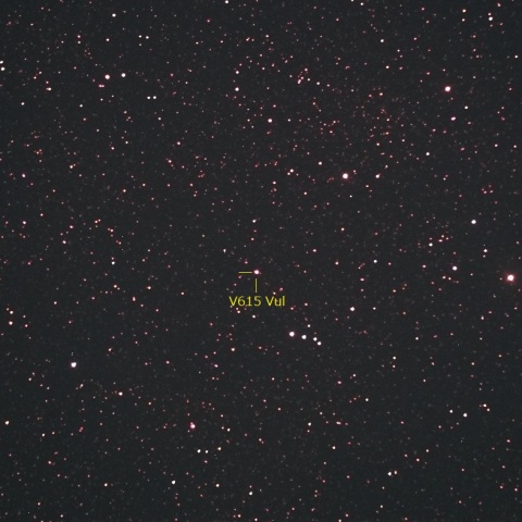 8月4日のこぎつね座新星