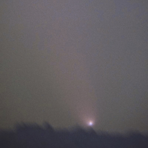 沈む寸前の紫金山・アトラス彗星（10月14日）