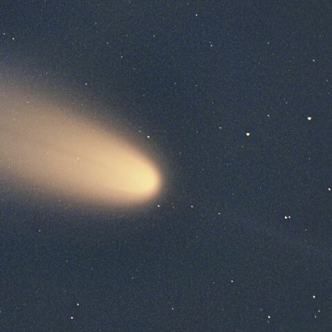 紫金山・アトラス彗星のアンチテイル（10月15日）