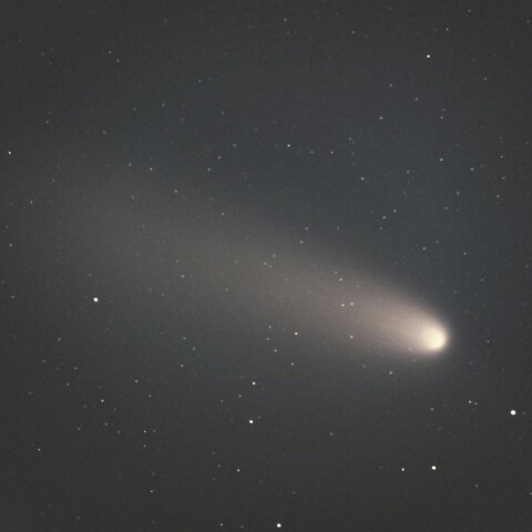 10月20日の紫金山・アトラス彗星