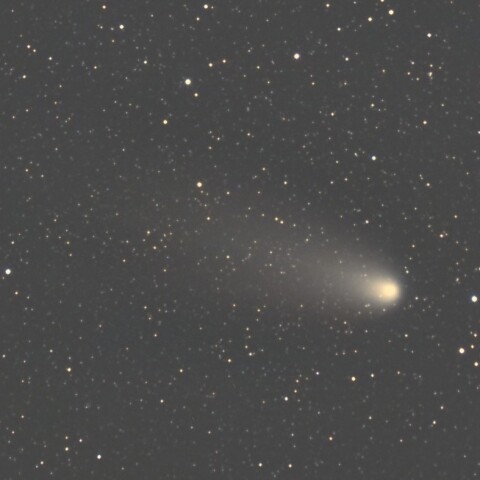 11月7日の紫金山・アトラス彗星