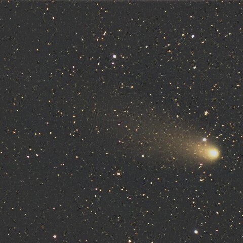 11月9日の紫金山・アトラス彗星