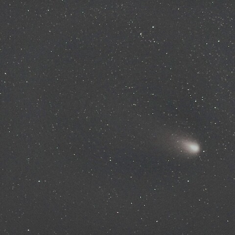 11月17日の紫金山・アトラス彗星