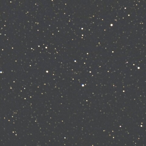11月19日のフォーブズ彗星