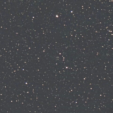 11月21日のフォーブズ彗星