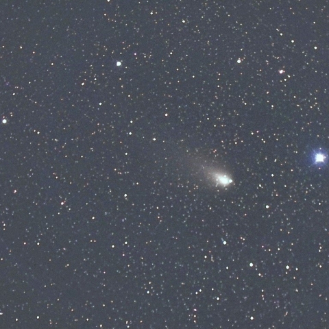 12月8日の紫金山・アトラス彗星