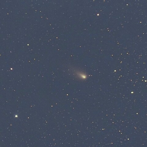 12月10日の紫金山・アトラス彗星