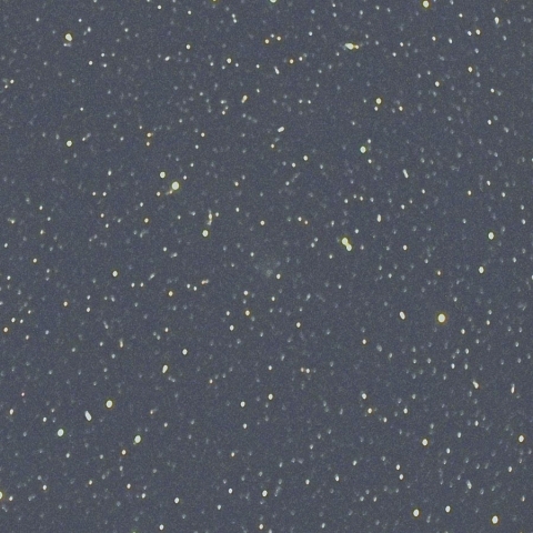 12月23日のリニア彗星