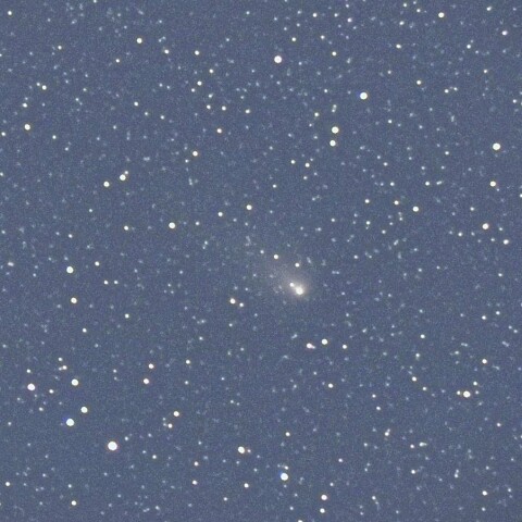 12月29日の紫金山・アトラス彗星