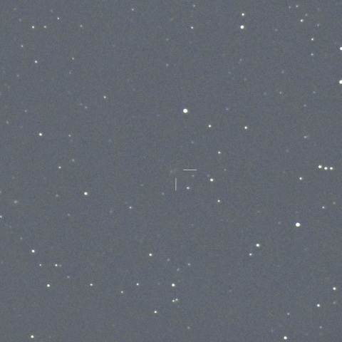 元旦のフォーブズ彗星