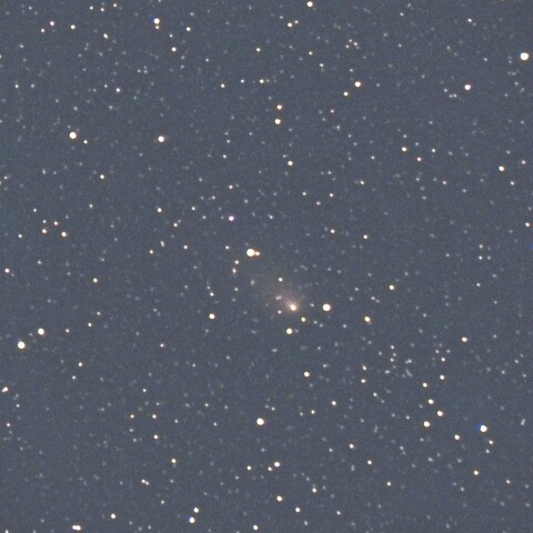 元旦の紫金山・アトラス彗星