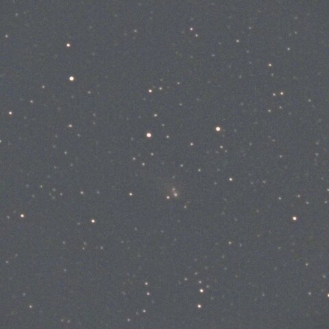 1月5日の紫金山・アトラス彗星