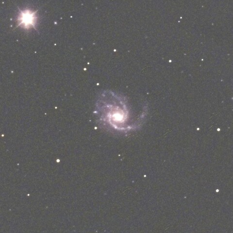 M99