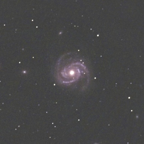 M100