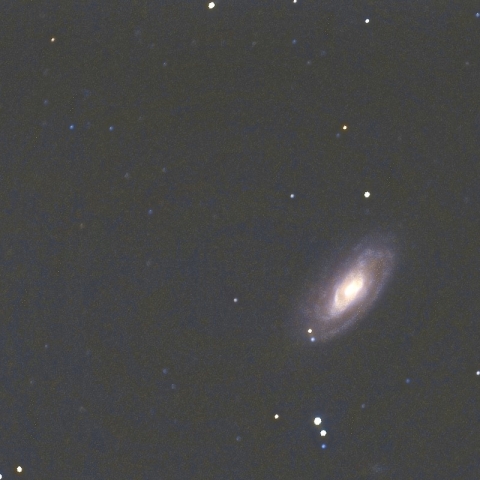 M88とNGC4516