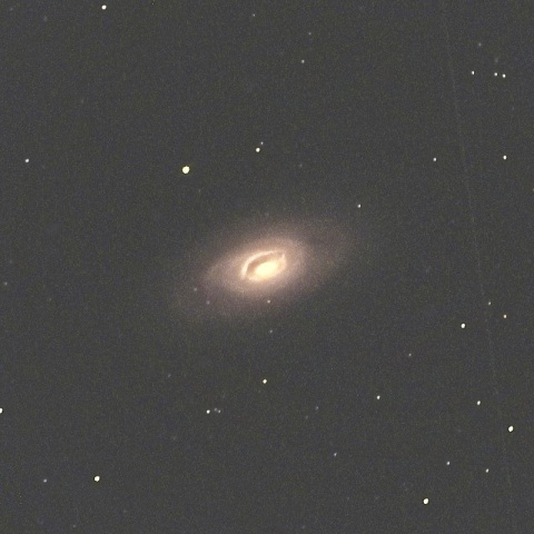 M64