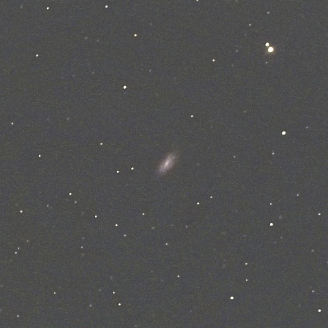 NGC5949(りゅう座)