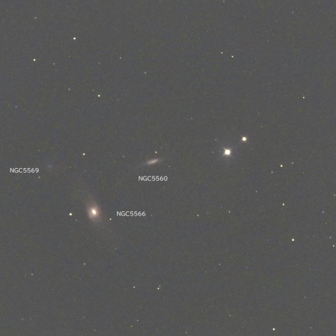 NGC5560,5566,5569　（おとめ座の銀河3態）