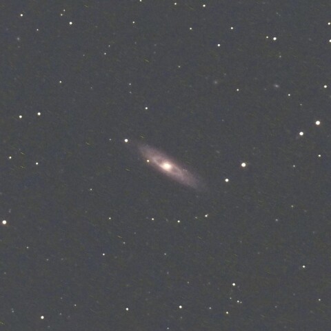 NGC7184 (みずがめ座の銀河)