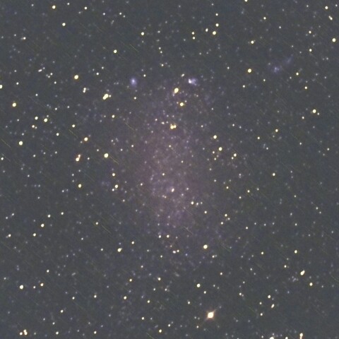 NGC6822  （いて座の銀河）