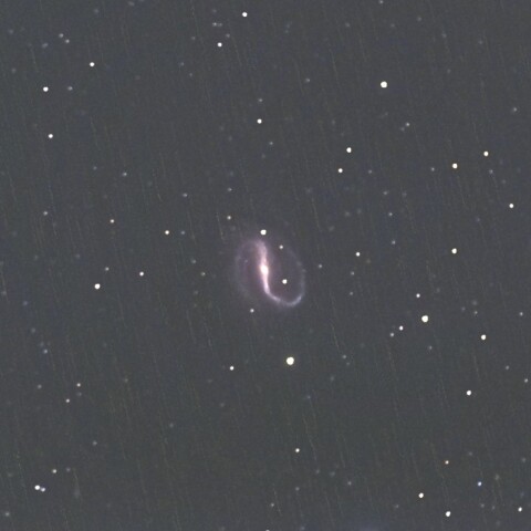 NGC7479 （ペガスス座の銀河）