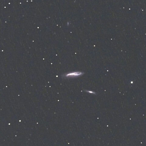 NGC7541(うお座の銀河)
