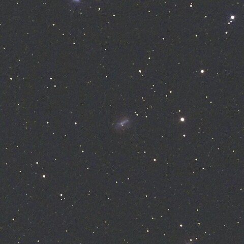 NGC7292（ペガスス座の銀河）