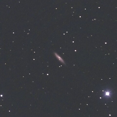 NGC7817（ペガスス座の銀河）