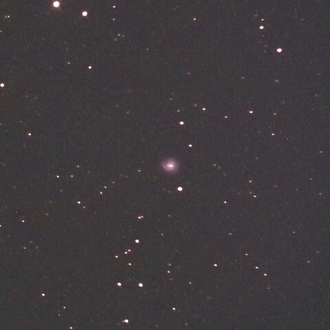 NGC7798（ペガスス座の銀河）
