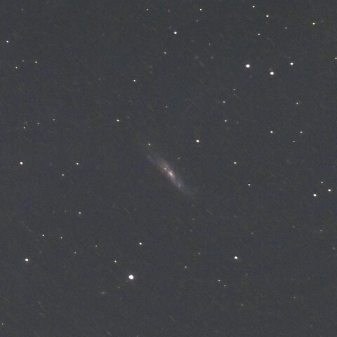 NGC7497(ペガスス座の銀河)