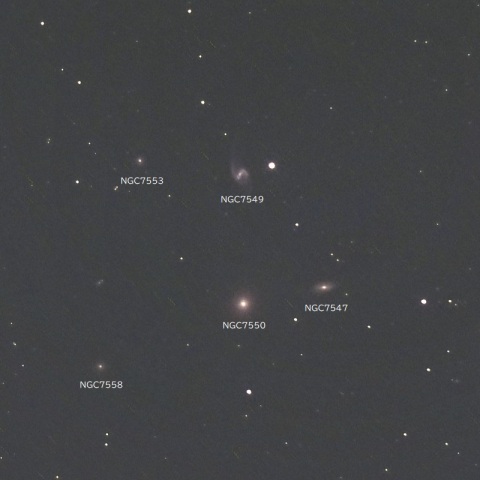 NGC7550付近（ペガスス座の銀河群）