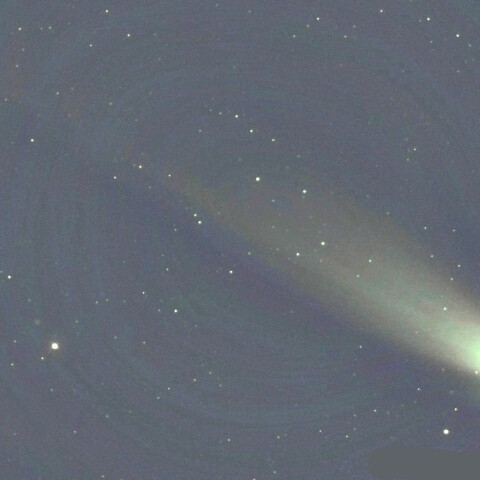 11月3日のレモン彗星