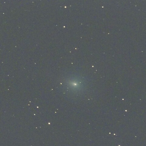 11月12日のスワン彗星