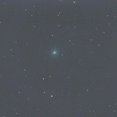 11月14日のC/2025T1　アトラス彗星