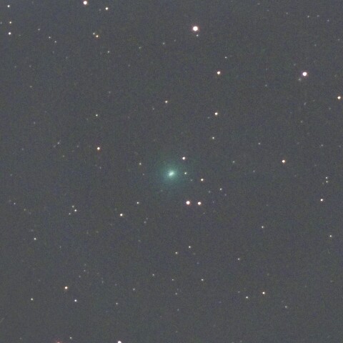 11月15日のアトラス彗星