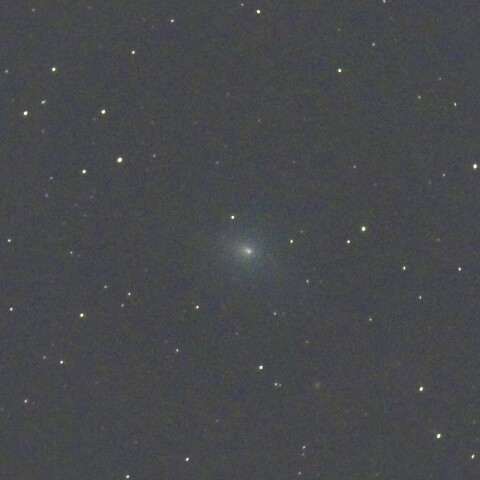 11月16日のスワン彗星