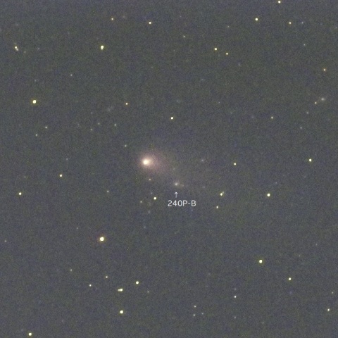 11月20日のニート彗星